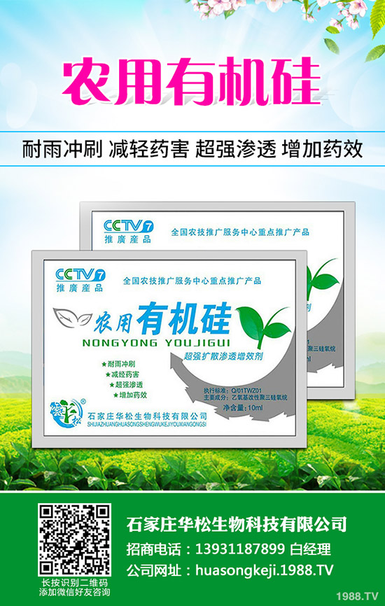 甘草的種植方法有哪些?甘草種植需要什么樣環(huán)境?