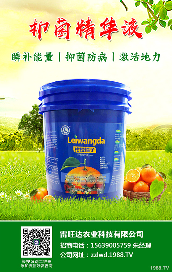 長期低溫寡照，蔬菜長勢差該如何解決？冬季大棚補光的幾項措施