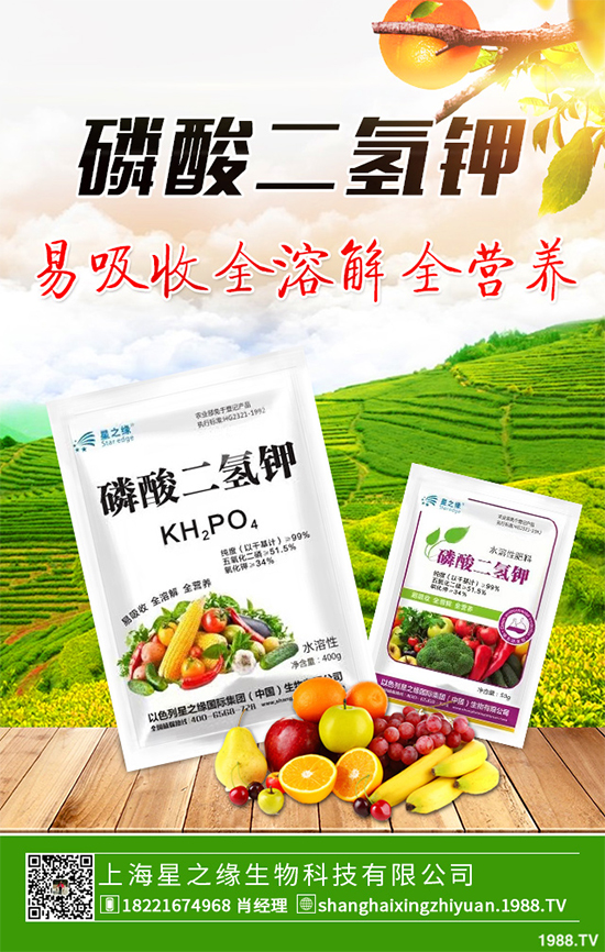 花椰菜花球出現(xiàn)異常是什么原因？該如何解決？快來(lái)看看吧！