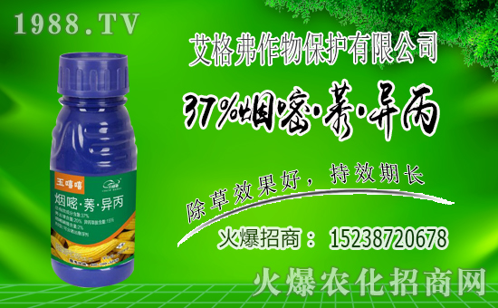 1988.TVϲӭ�����ѣ��������ﱣ�o(h��)�_(k��i)���W(w��ng)�j(lu��)������������