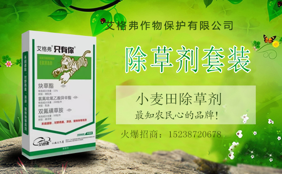 1988.TVϲӭ���������������ﱣ�o(h��)�_(k��i)���W(w��ng)�j(lu��)������������