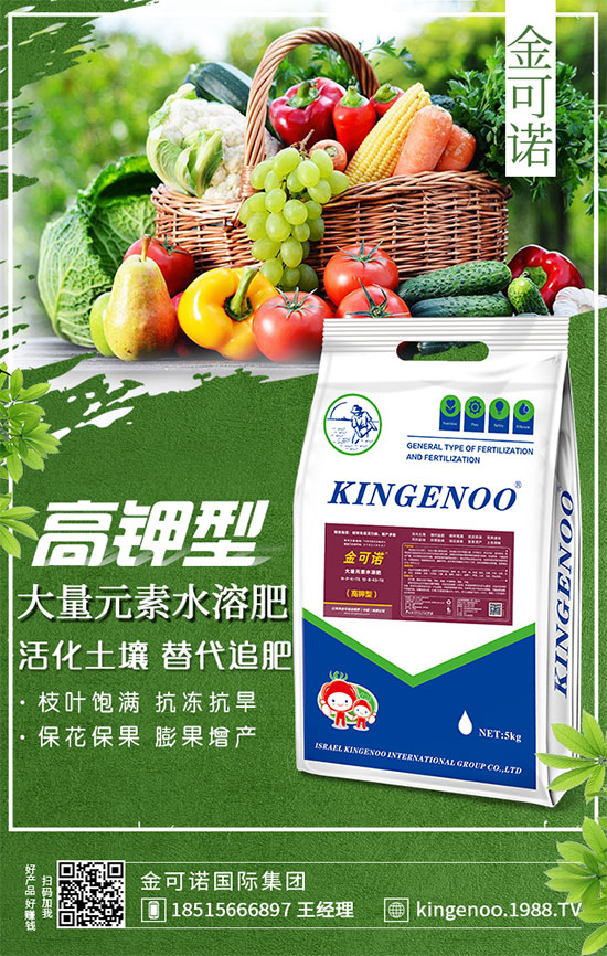 ��(zh��n)�Ժ���������������Z���H���F�ٺ�1988.TV���y�ֹ���(chu��ng)��(zh��n)����