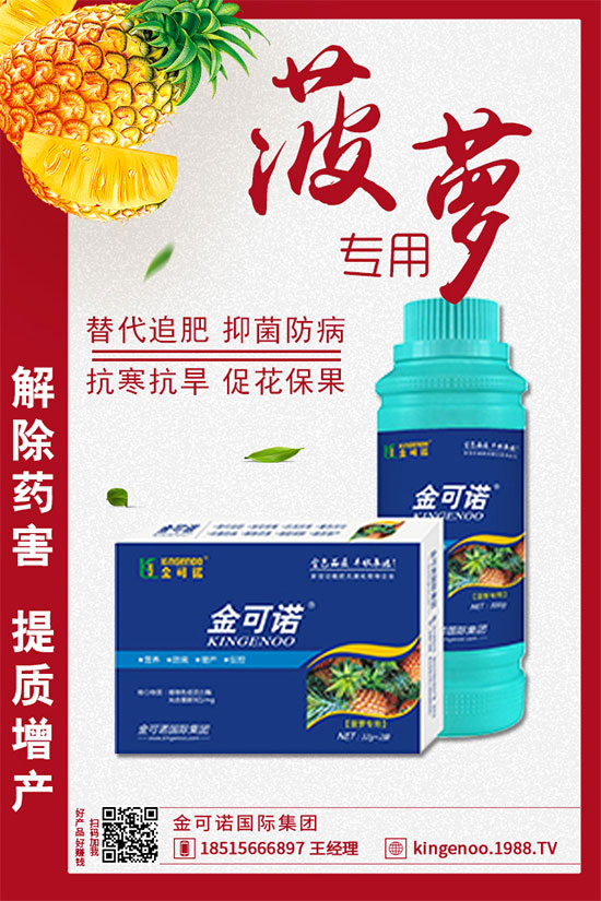 ��(zh��n)�Ժ���������������Z���H���F�ٺ�1988.TV���y�ֹ���(chu��ng)��(zh��n)����