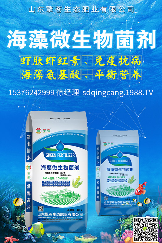     尿素價格跌出新價！2019年11月初尿素行情走勢分析及后市預(yù)測！