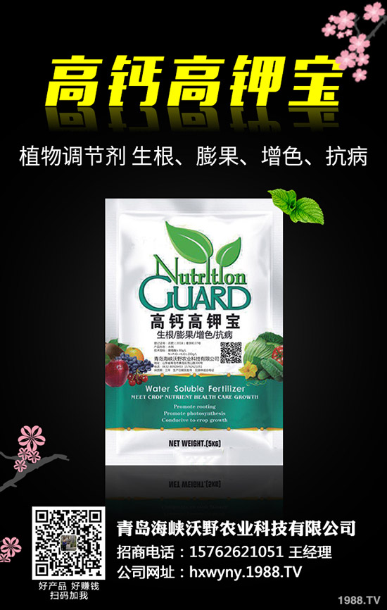 小麥田雜草什么時候防治更佳？小麥雜草解決方案！