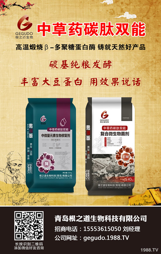 小麥土傳病害有哪些危害？小麥土傳病害發(fā)病規(guī)律及防治！