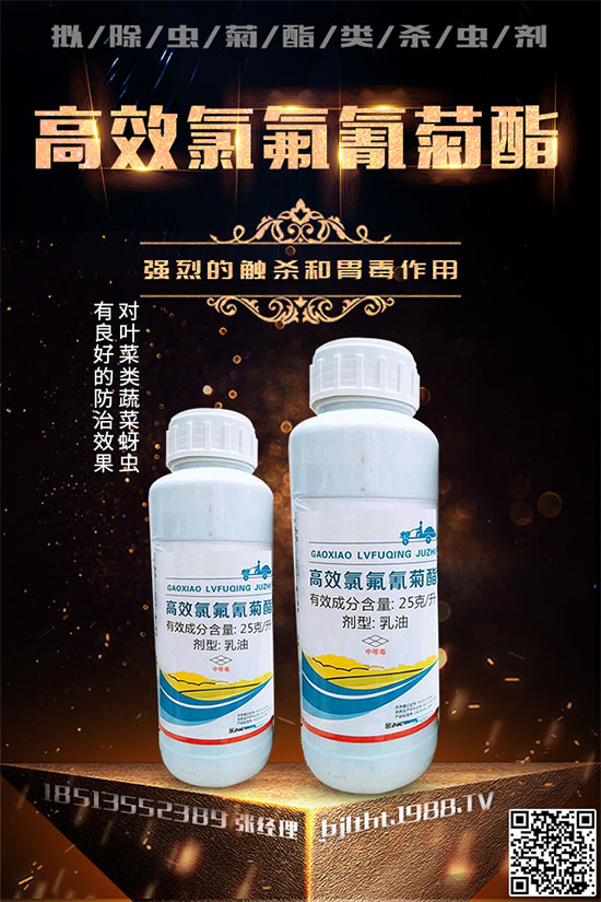 ɽ�|�����ٶȔy��1988.TV���y�ֹ���(chu��ng)��(zh��n)��(j��)�����Aδ��(l��i)��