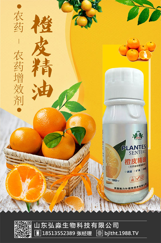 ɽ�|�����ٶȔy��1988.TV���y�ֹ���(chu��ng)��(zh��n)��(j��)�����Aδ��(l��i)��