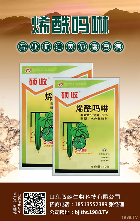 ɽ�|�����ٶȔy��1988.TV���y�ֹ���(chu��ng)��(zh��n)��(j��)�����Aδ��(l��i)��