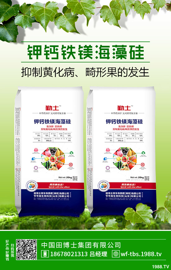     2019年11月8日最新鉀肥行情走勢(shì)預(yù)測(cè)，氯化鉀出廠報(bào)價(jià)一覽