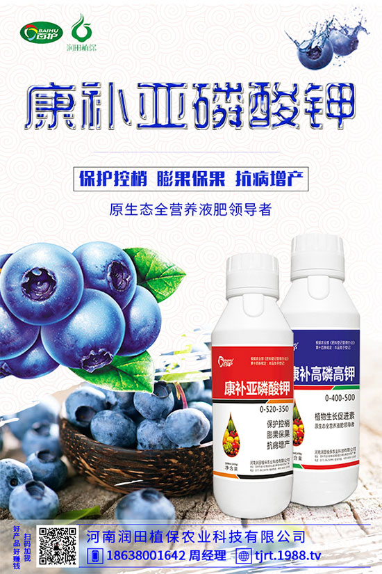 朝天椒什么播種？朝天椒的種植方法及病蟲(chóng)害防治