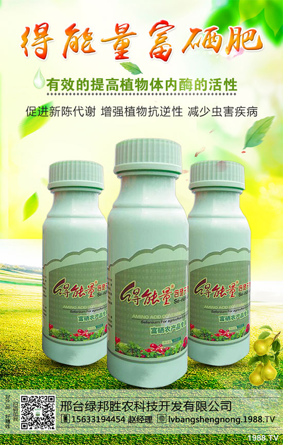 ���_(t��i)�G���ٶȔy��1988.TV���_�ؾW(w��ng)�j(lu��)�����¾�����