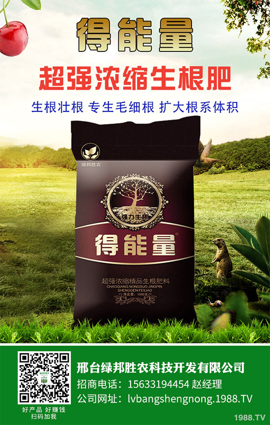 ���_(t��i)�G���ٶȔy��1988.TV���_�ؾW(w��ng)�j(lu��)�����¾�����