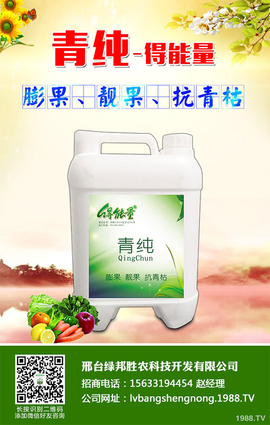 ���_(t��i)�G���ٶȔy��1988.TV���_�ؾW(w��ng)�j(lu��)�����¾��棡