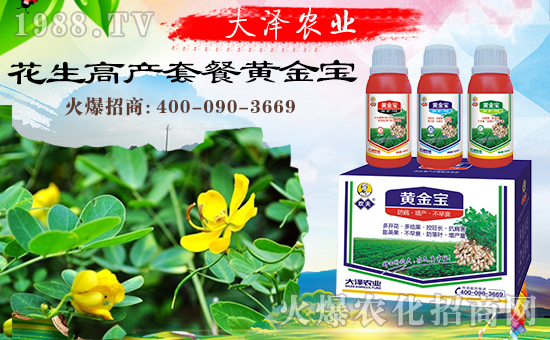 �������\�l(f��)չ�����ϴ���r(n��ng)�I(y��)�ٴκ��s1988.TV