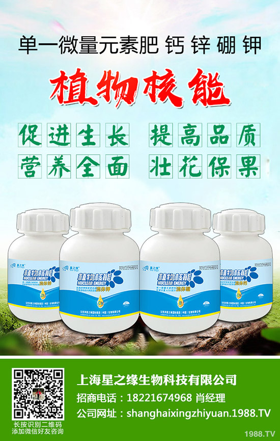 ѿ�����ӷNֲ��ѿ�˷Nֲ���g(sh��)���˽���٣�