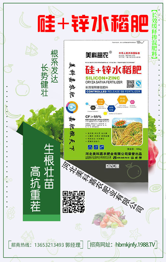 �ߡ����������ڏͺϷ��а�������Щ��ɫ��