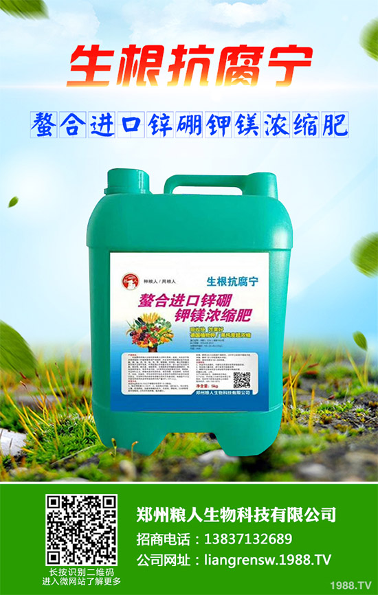 洋薊有哪些營養(yǎng)價(jià)值？洋薊的營養(yǎng)價(jià)值及功效作用