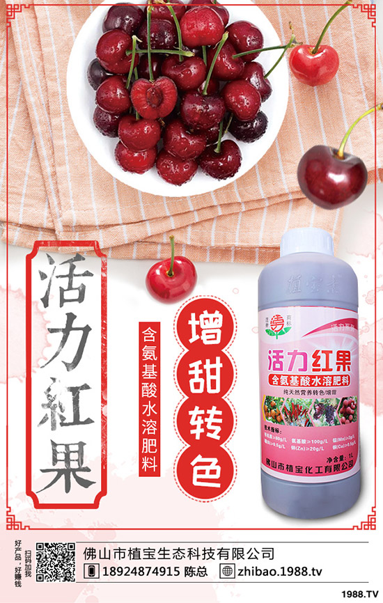 豆角歇伏什么原因？如何應(yīng)對豆角歇伏？