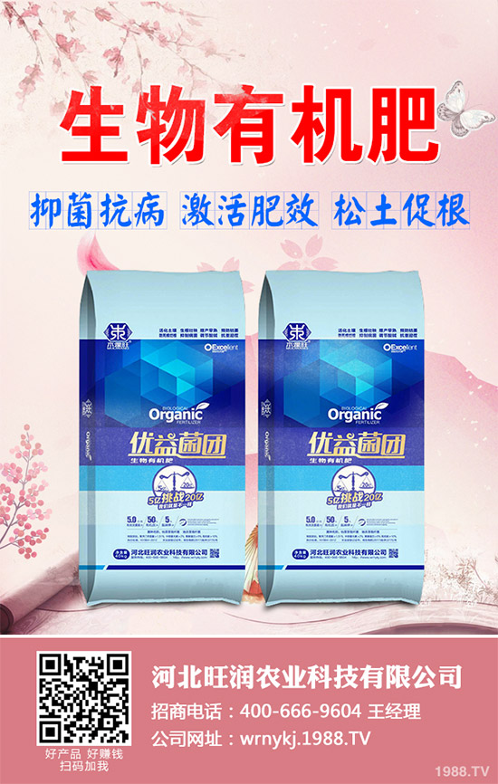 大棚韭菜該怎么種?冬季大棚韭菜種植技術(shù)要點