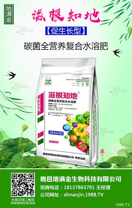 蔓荊子多少錢一斤?2020年蔓荊子種植前景及效益分析