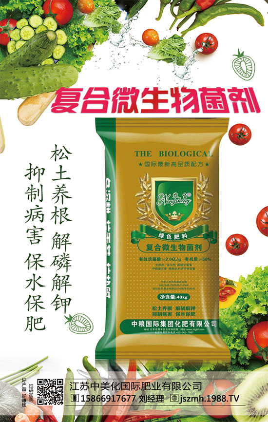 菜椒怎么種植？菜椒種植技術(shù)要點(diǎn)！