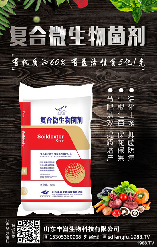 鳳梨是哪里的特產(chǎn)？2020年種植前景如何？