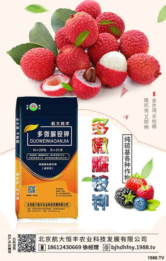 茄子早衰是什么原因？哪些方法能夠預(yù)防茄子早衰？
