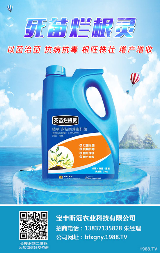 楊梅施肥時(shí)間是什么時(shí)候，楊梅施肥方法有哪些？