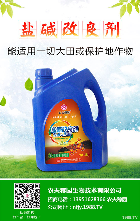 什么是蔓荊子？蔓荊子的功效作用及用法禁忌