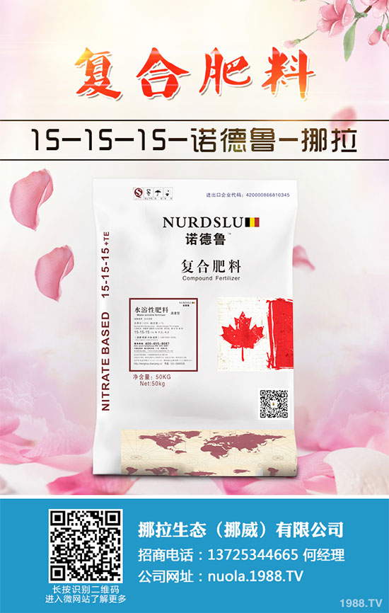 蔓荊子該怎么用？中藥材蔓荊子的用法大全