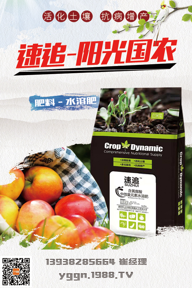 北京陽光國農(nóng)再次攜手1988.TV!共贏2020!再創(chuàng)輝煌!