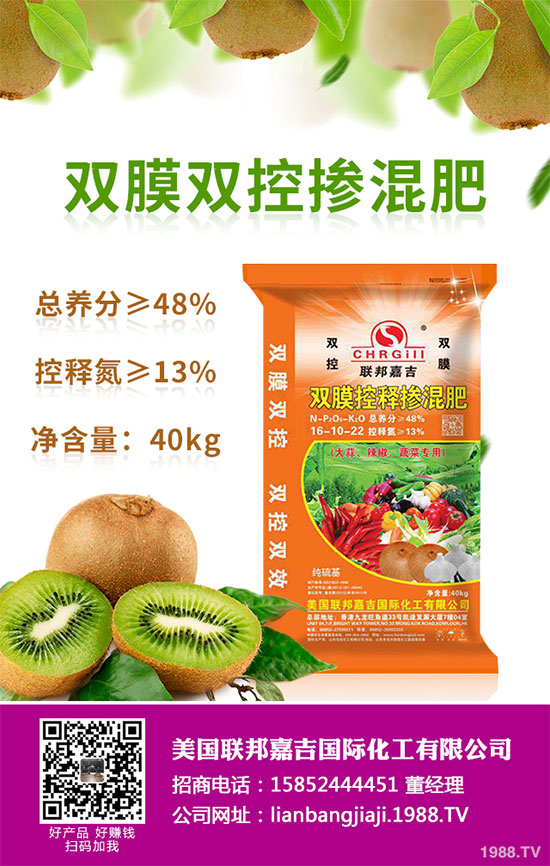 貢菊花該如何栽培?貢菊花高產(chǎn)栽培技術(shù)