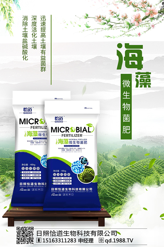 龍膽草的分布地區(qū)，龍膽草的功效與作用！