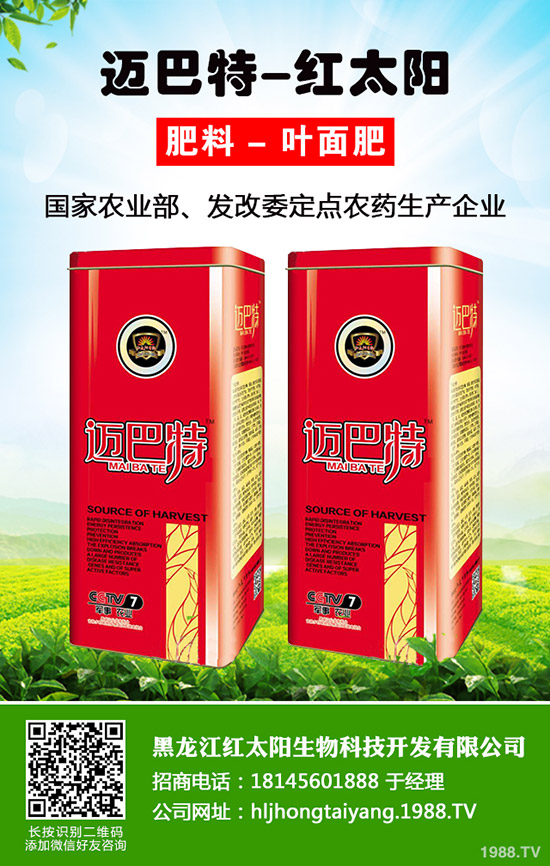 菠蘿種植多久結(jié)果？一年結(jié)幾次果？菠蘿種植方法！