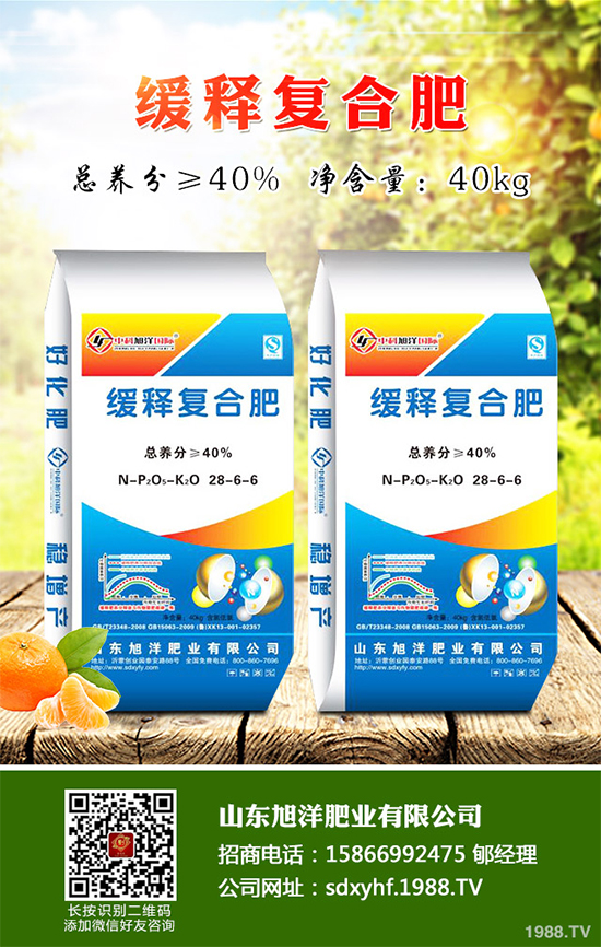 貢菊、杭白菊和胎菊有哪些不同之處?產(chǎn)地在哪?快來(lái)看看吧!