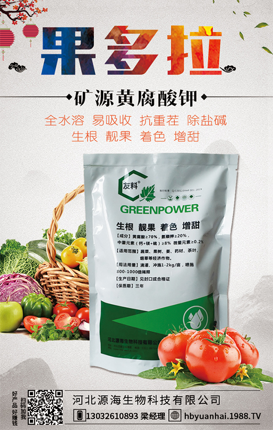 2020年香椿的種植前景，香椿的種植效益的分析！