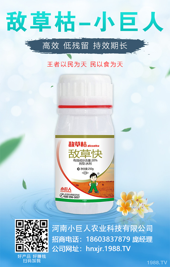 無花果種植行情怎么樣？如果能實(shí)現(xiàn)種植高產(chǎn)？