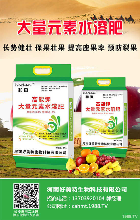 吃蘑菇有什么好處？蘑菇的營養(yǎng)價(jià)值及功效作用