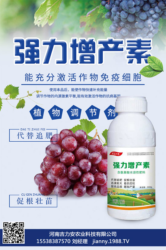 大棚蘑菇該如何種植？大棚蘑菇的種植管理技術(shù)