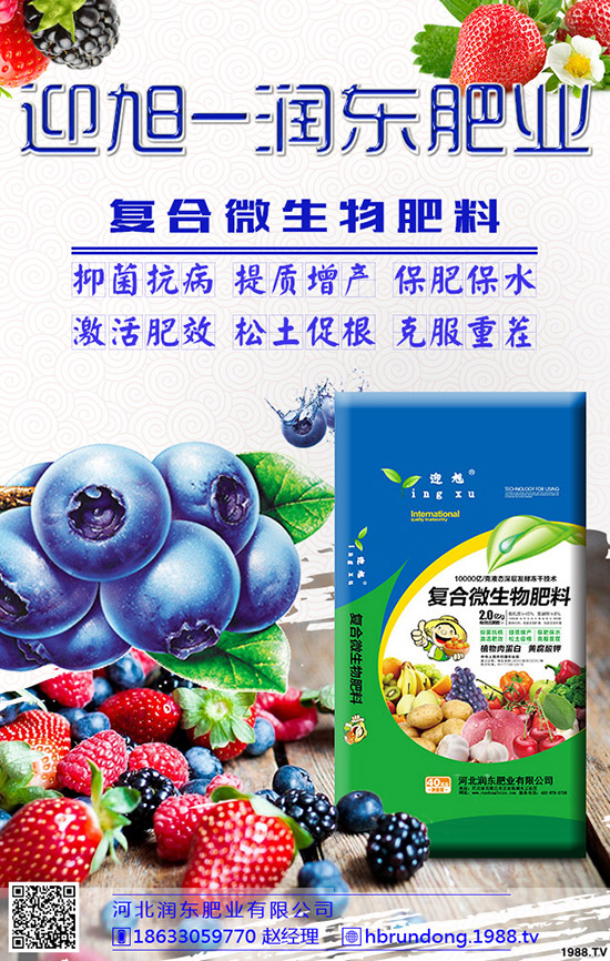 芒果旺長(zhǎng)怎么辦?農(nóng)戶們?nèi)绾螒?yīng)對(duì)芒果旺長(zhǎng)?