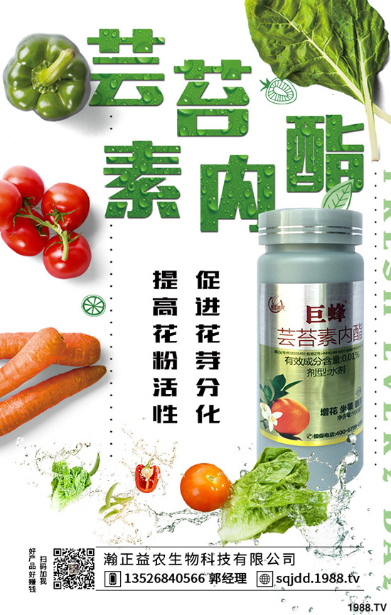 大棚蔬菜采光率低危害，如何提高大棚蔬菜采光率？