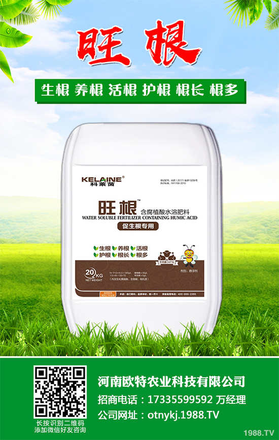 蘑菇種植需要什么條件?蘑菇種植環(huán)境要求