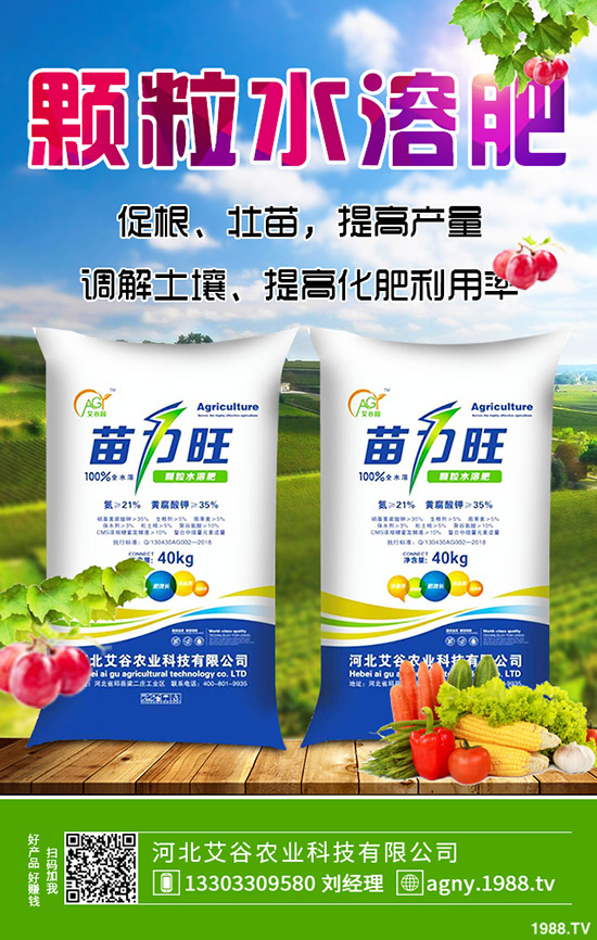 生姜什么時候種，生姜的種植條件有哪些？