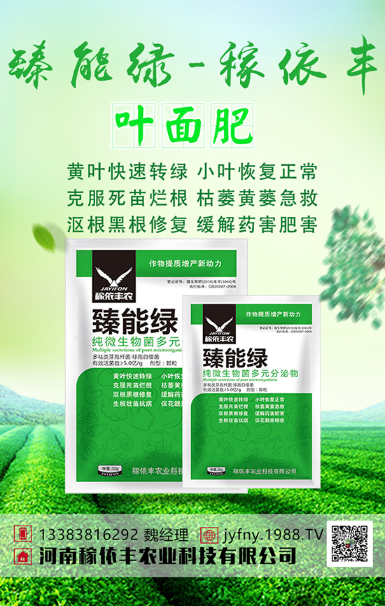 生理中性肥料大家知道嗎？中性肥料使用時(shí)注意什么？