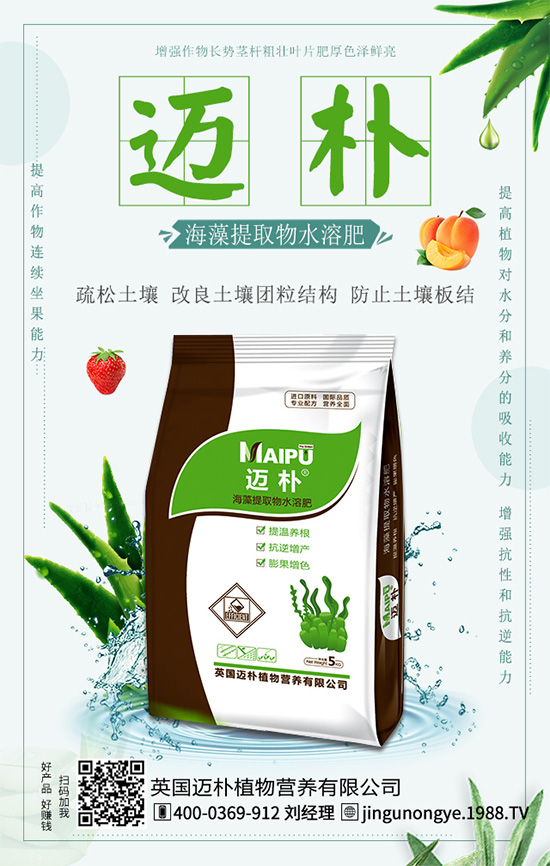 吃柑橘有什么好處?柑橘的營養(yǎng)價值!