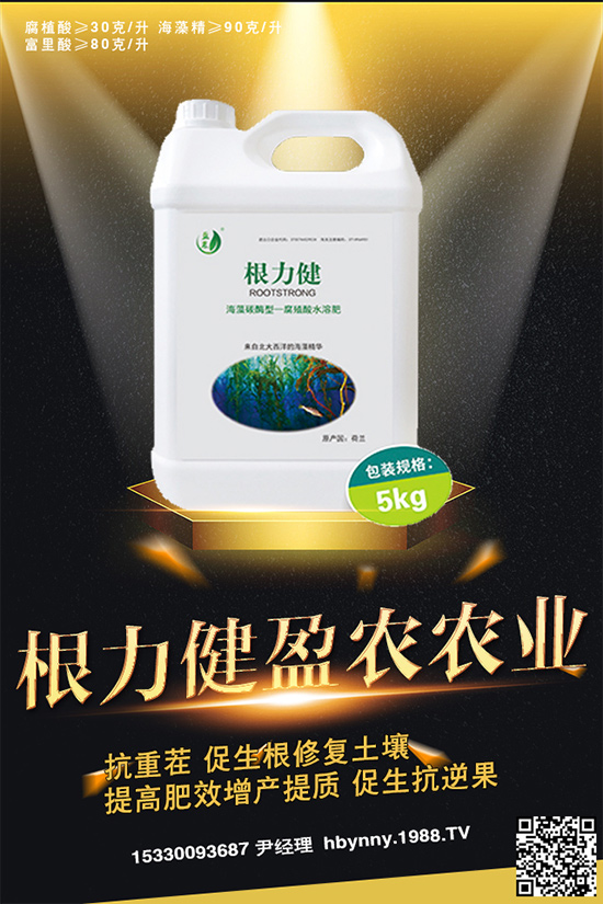     ������ȥ�������_�����_���Ϸ���ע�⡰���ɡ�