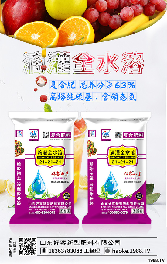 荊芥常見病害有哪些?該如何防治?荊芥常見病害的發(fā)生與防治技巧