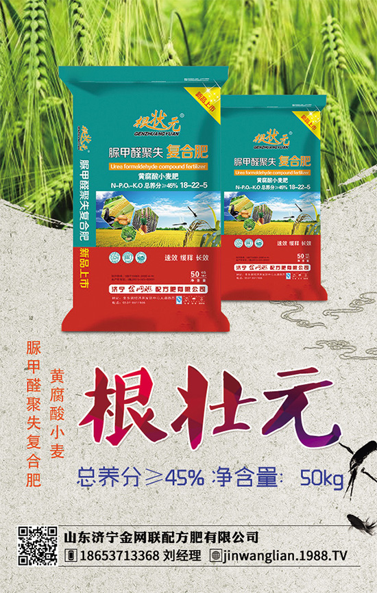 荊芥常見病害有哪些?該如何防治?荊芥常見病害的發(fā)生與防治技巧