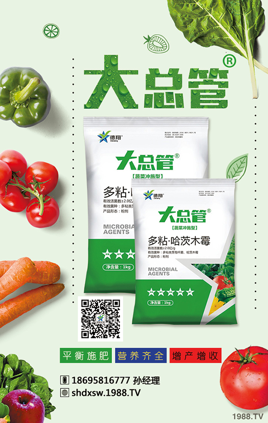 2020年蒜苗種植賺錢嗎？成本多少錢？效益怎么樣？前景如何？